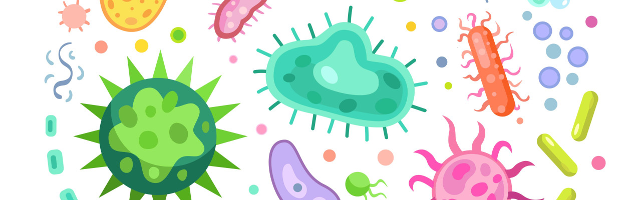 Mikrobiyota ve Bağırsak Sağlığı: Gündelik Hayatımıza Bilinmeyen Etkileri